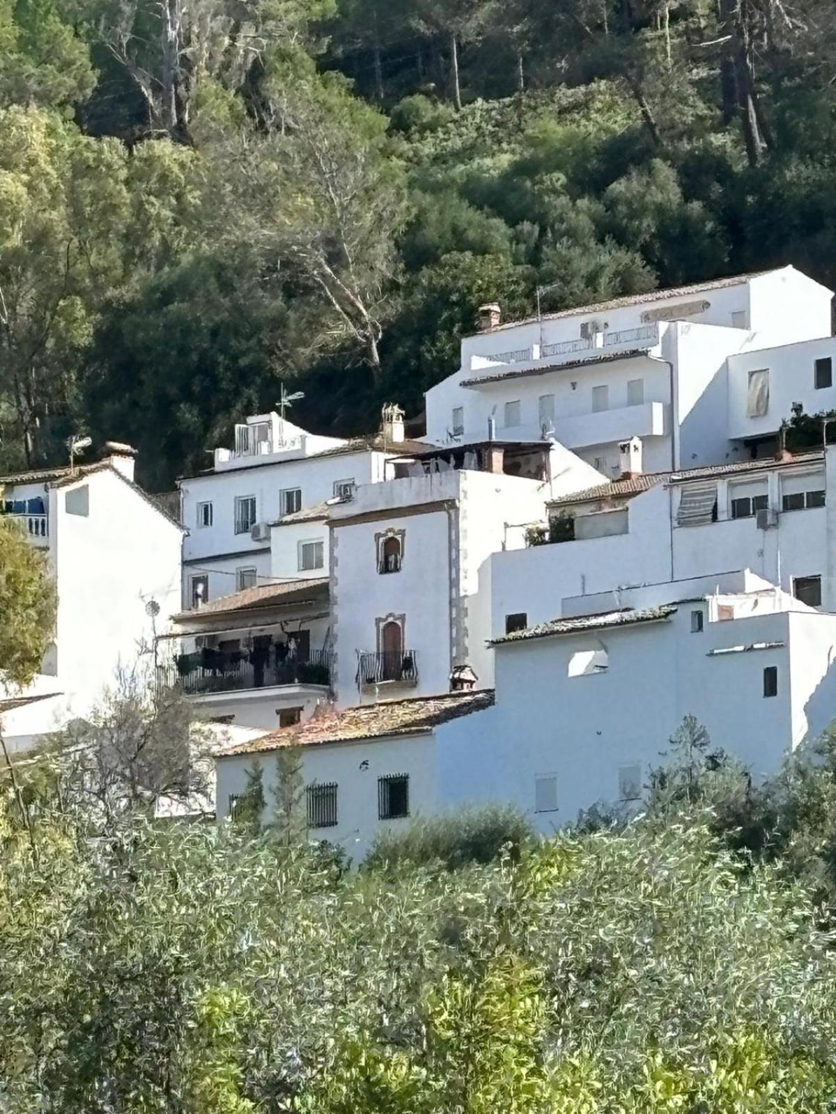 El Rincon De Las Higueras 埃尔博斯克 外观 照片